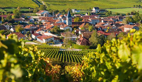 Vakantiehuis thema Grote vakantiehuizen Ardennen